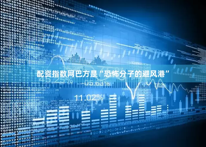 配资指数网巴方是“恐怖分子的避风港”