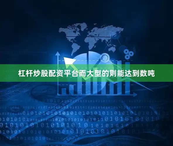 杠杆炒股配资平台而大型的则能达到数吨